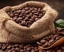Excelso Colombian coffee beans