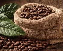 Green coffee beans from Colombia